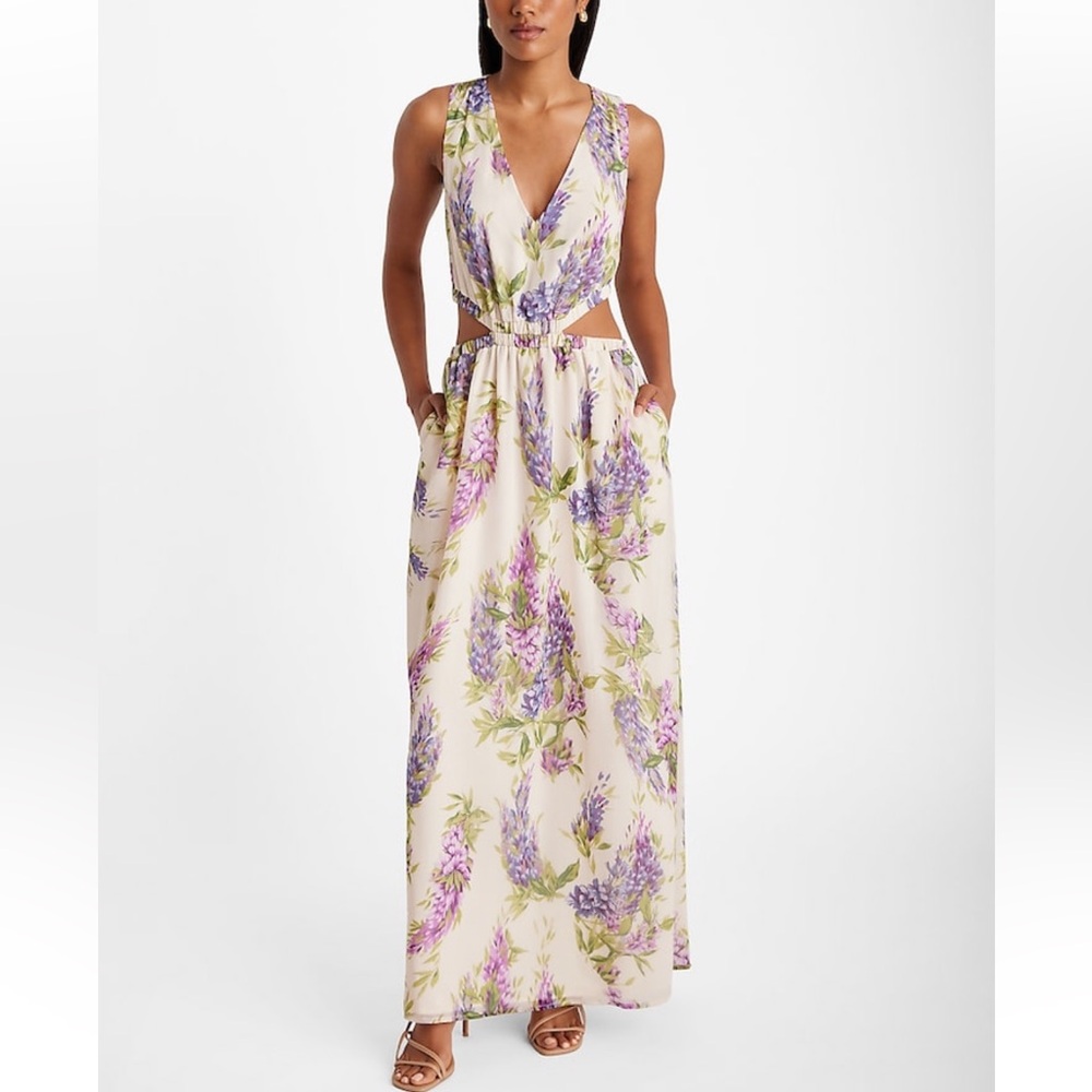 Express dress , new with tag